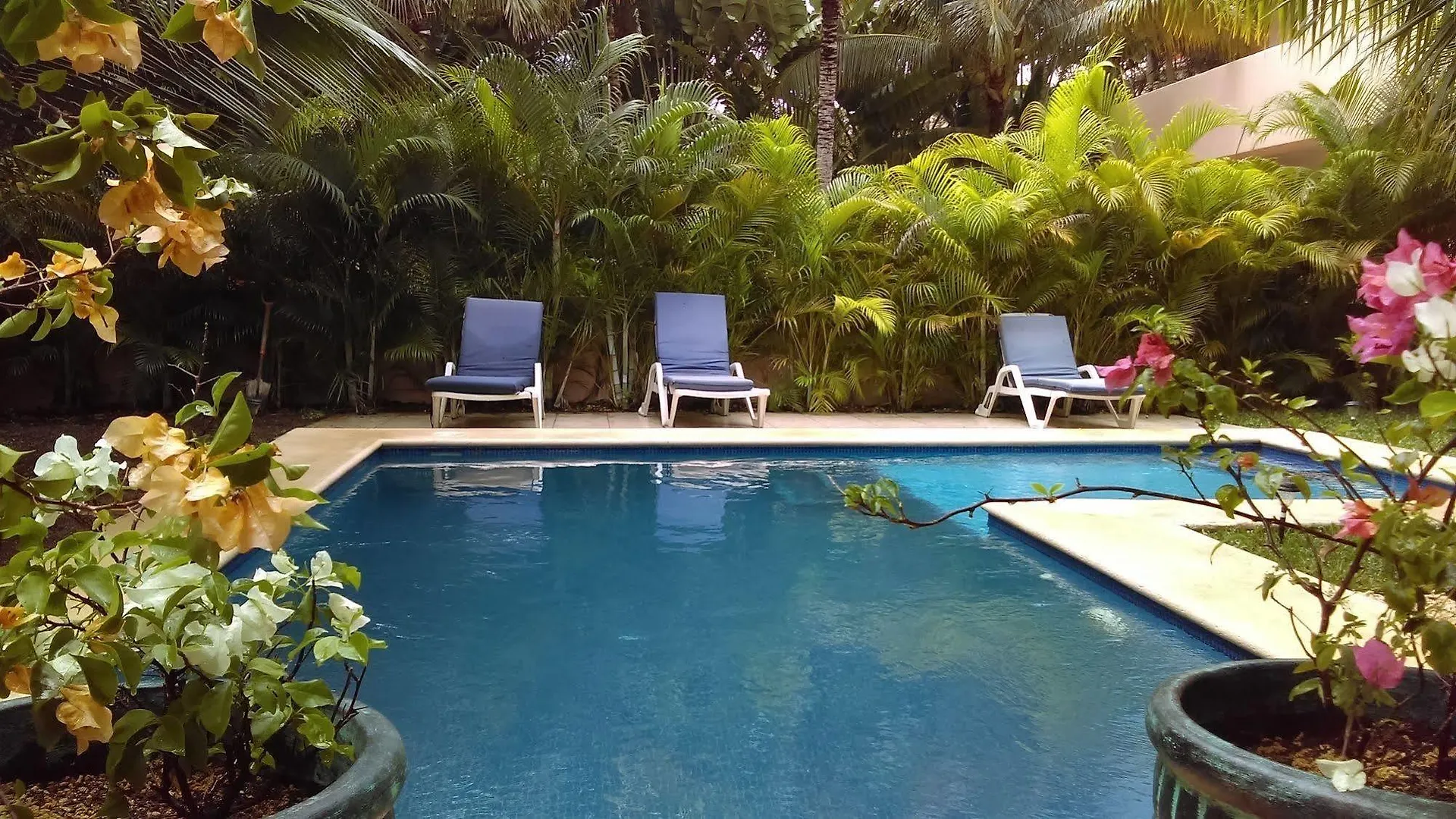 לינה וארוחת בוקר פורטו אוונטורס Villas Picalu Lodge