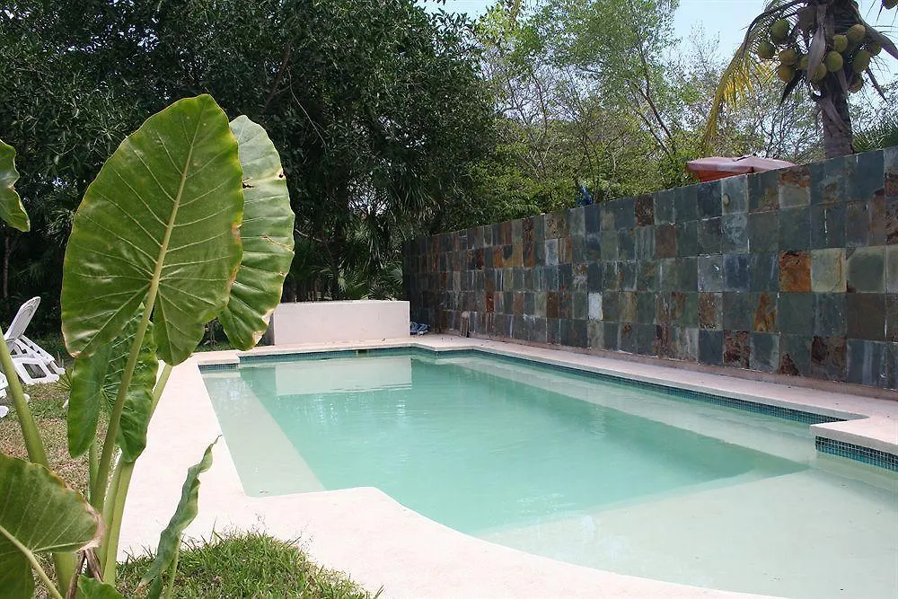 ** فندق مبيت وإفطار بويرتو أفينتوراس Villas Picalu Lodge المكسيك