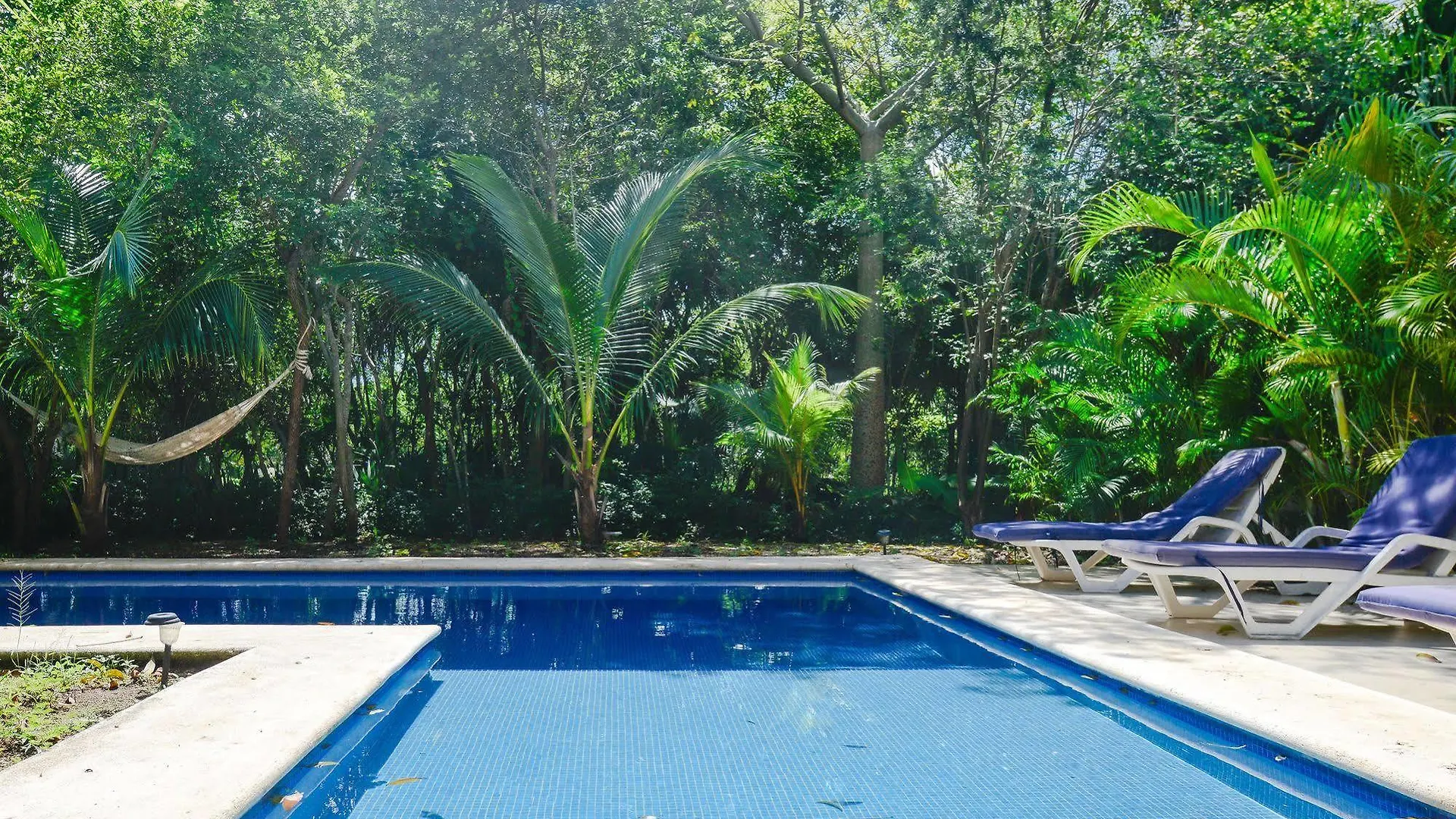 بويرتو أفينتوراس Villas Picalu Lodge 2*, بويرتو أفينتوراس المكسيك